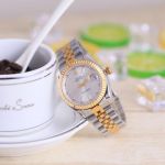 Rolex Stainless Steel Imported Automatic Movement 28MM Lady Watch